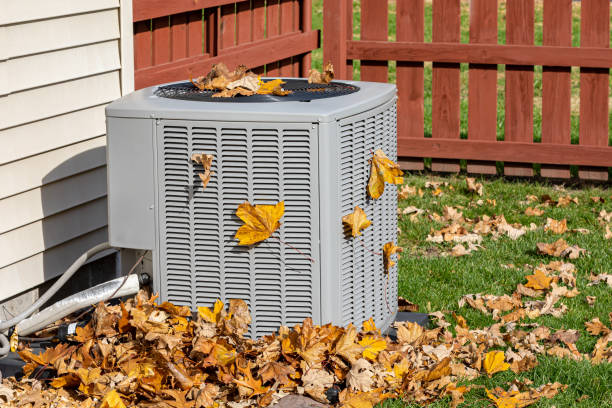 Best Affordable air conditioning repair  in Springerville, AZ